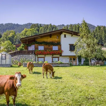 Apartman Salvenblick *