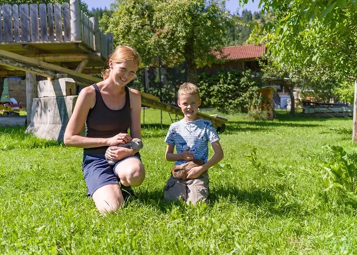 Salvenblick * Hopfgarten im Brixental