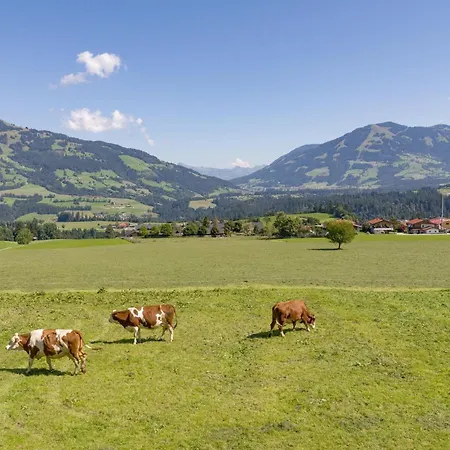 Salvenblick